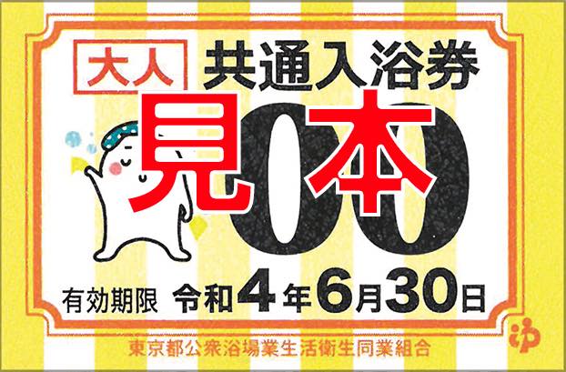 東京都公衆浴場業生活衛生同業組合加盟浴場　大人共通入浴券 30枚施設利用券